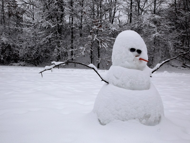 An Op-Ed by Parson Brown: The Constant Comparison to a Snowman is Really&nbsp;Hurtful